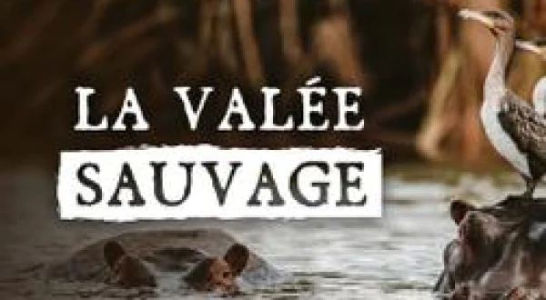 El valle indómito