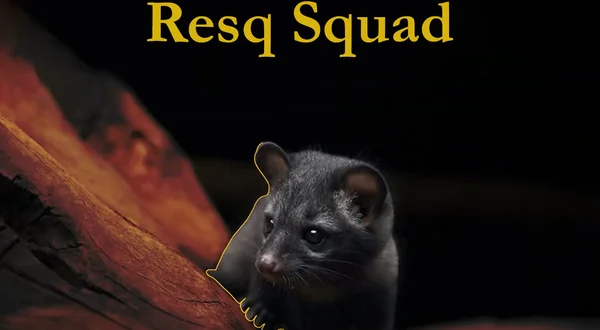 Resq Squad