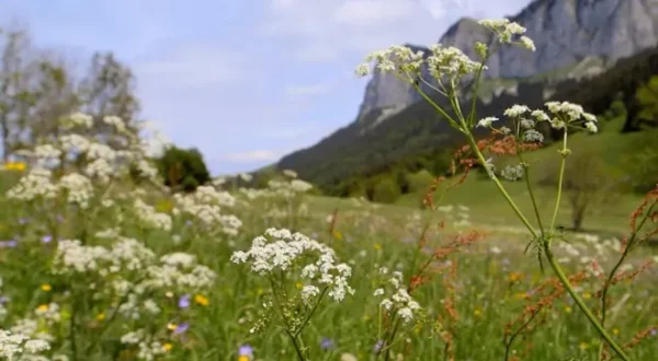 Nature = futur !