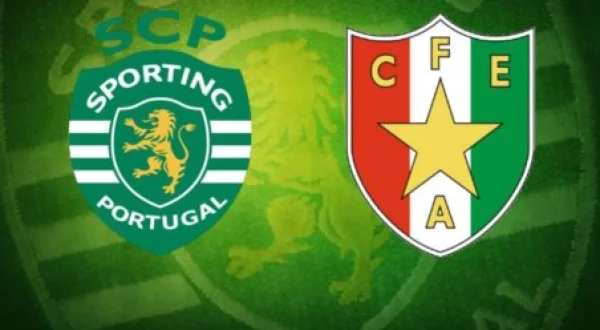Liga Portugal 2024-25 - SCP x Estrela da Amadora