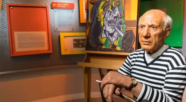 Picasso : L'ombre Et La Lumière