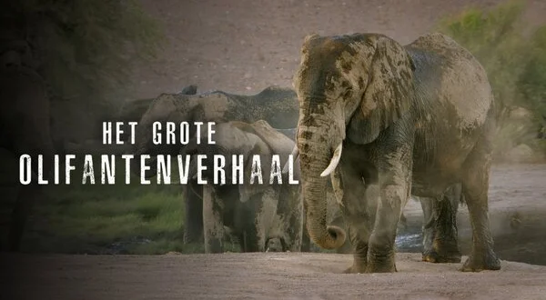 Het Grote Olifantenverhaal