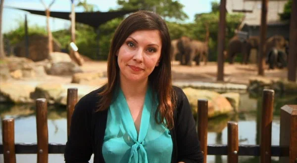 The Travel Show