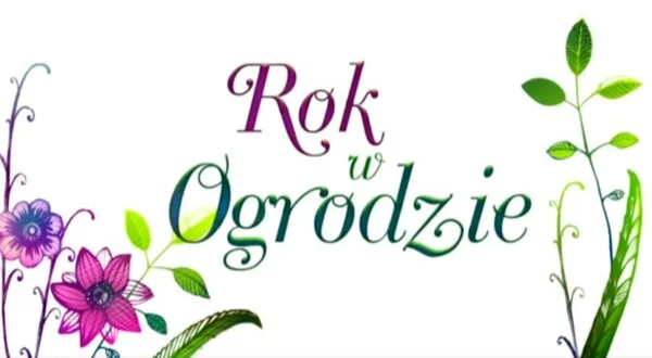 Rok w ogrodzie