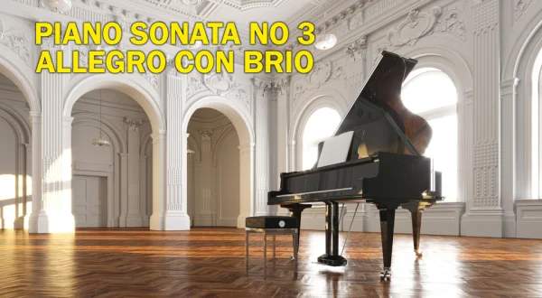 Piano sonata no 3 ----- Allegro con brio