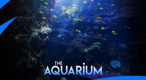 The Aquarium