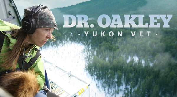 Dr. Oakley, Yukon Vet