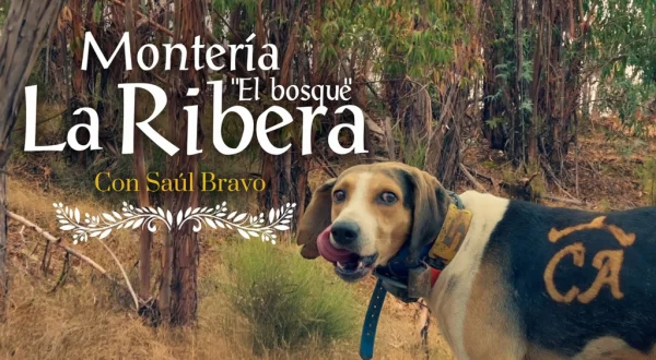 Montería La Ribera. El bosque con Saúl Bravo