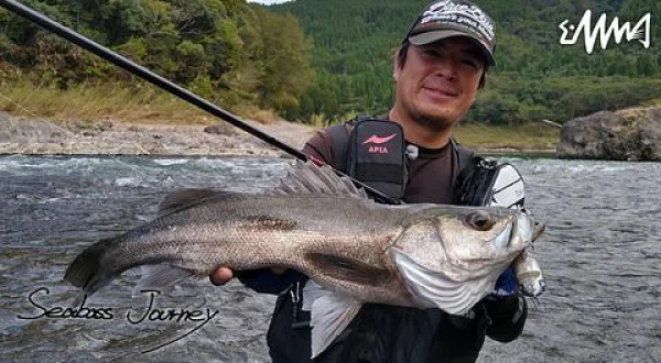 Seabass Journey 49 宮崎県大淀川