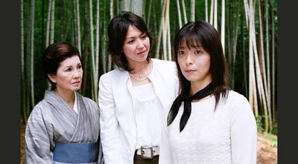 京都金沢かぐや姫殺人事件