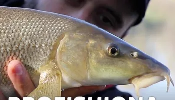 Profishionals School: Pesca dalla...