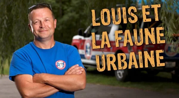 Louis et la faune urbaine