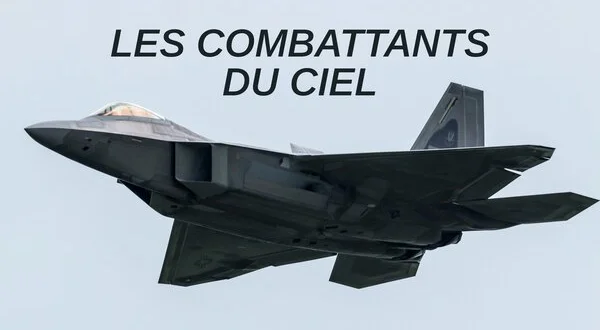 Les combattants du ciel