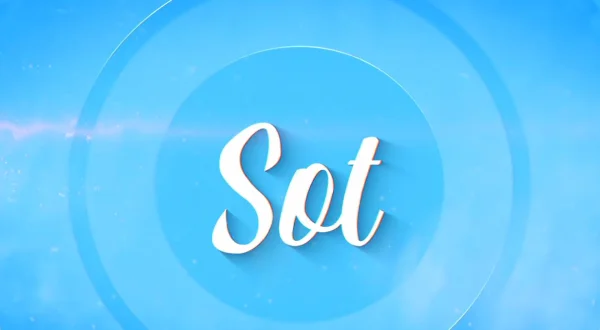 Sot