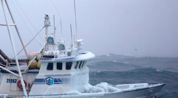 Deadliest Catch
