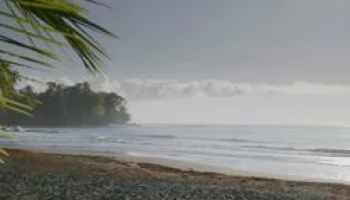 Solitude, une figure de la liberté