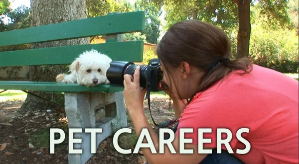 Pet Careers