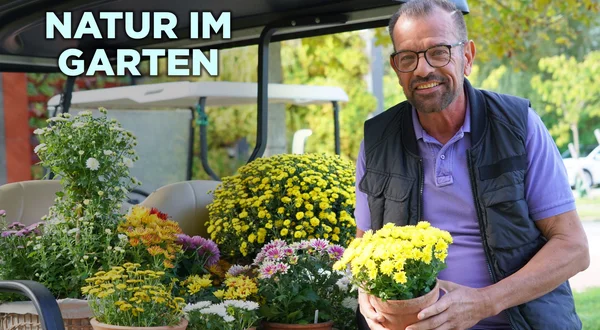 Natur im Garten