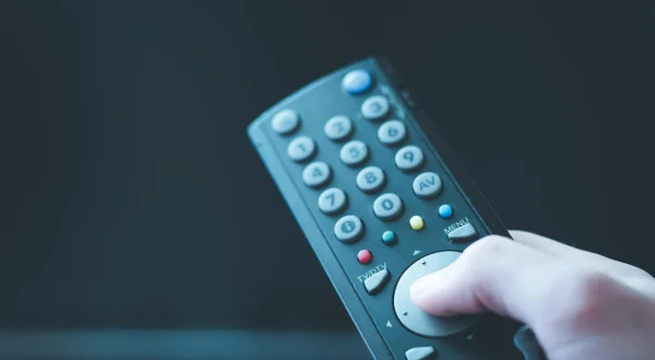 Programi i pasdites/Imazh
