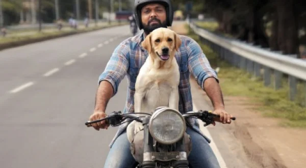 Charlie: un perro especial