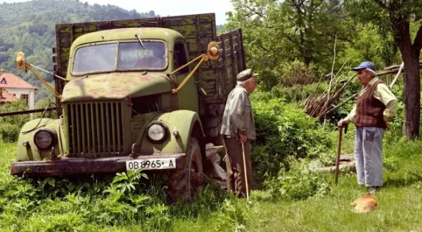 Expeditionen ins Tierreich