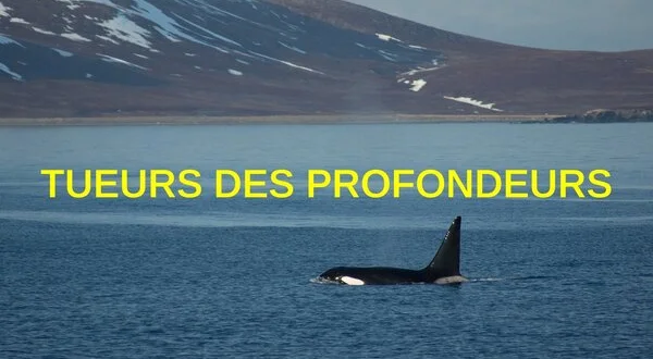 Tueurs des profondeurs