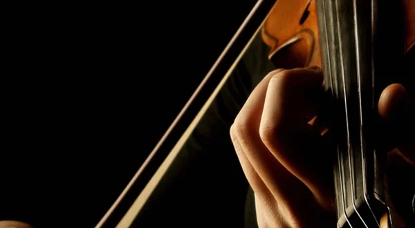 Beethoven Vioolconcerto & Bizet Symfonie in C