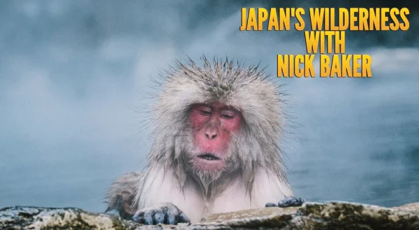 Japan's Wilderness With Nick Baker