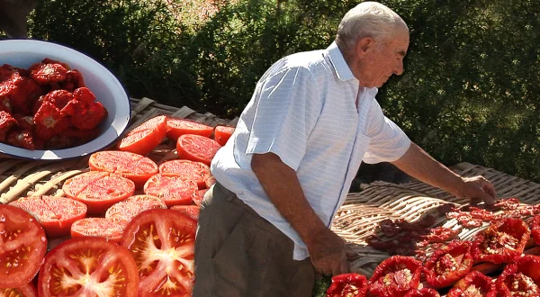 Los tomates secos. Secado en cañizos y sazonado para su conservación y consumo en invierno