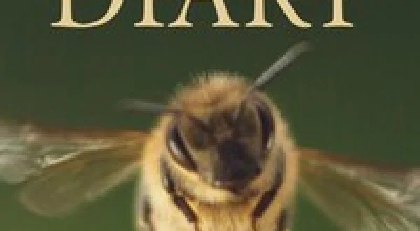A Bee's Diary