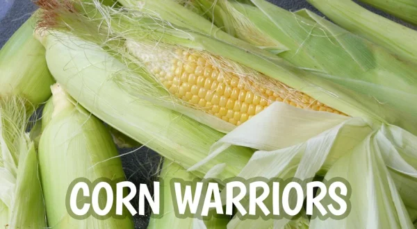 Corn Warriors