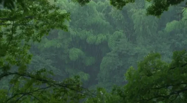 The Seasons of Yamato