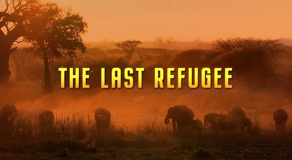 The Last Refuge