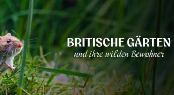 Britische Gärten Und Ihre Wilden Bewohner