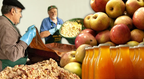 Más de 3.500 litros de zumo de manzana natural (y artesanal) para el consumo de varias familias