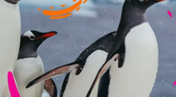 Animal Fanpedia
