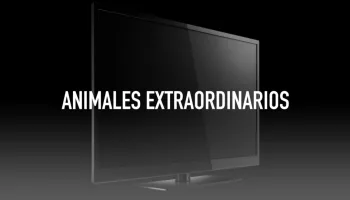 Animales Extraordinarios