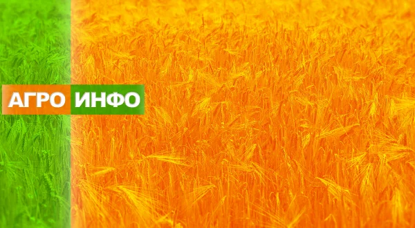 Agroinfo
