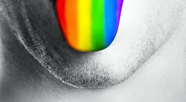 Do I Sound Gay?