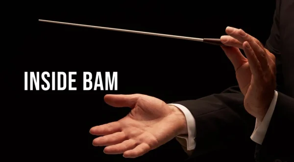 Inside BAM