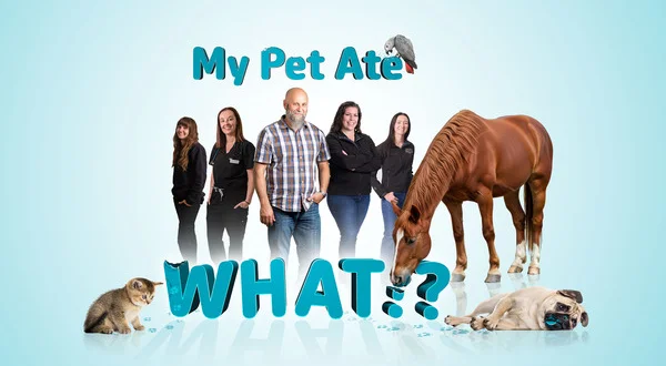 My Pet Ate What?