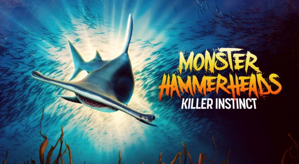 Monster Hammerheads: Killer Instinct
