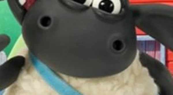 Am Foghlama Le Timmy