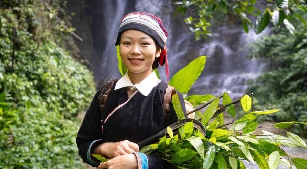 Entlang der Happiness Road – In den Bergen Vietnams