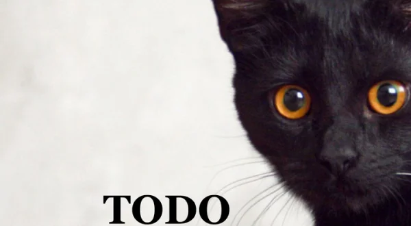 Todo sobre la adopción