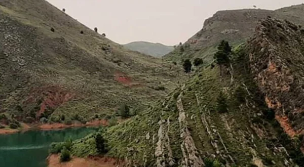 El escarabajo verde