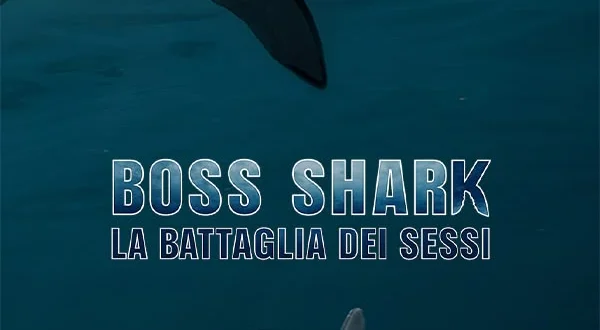 Boss Shark - La battaglia dei sessi