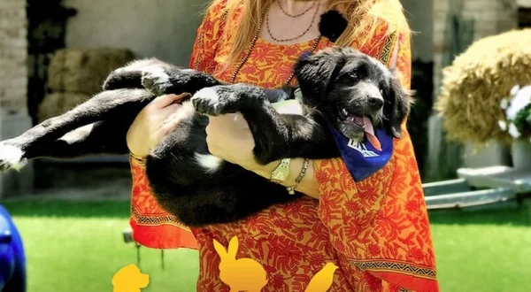 Dalla parte degli animali