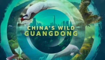 Vida Selvagem - China's Wild Guangdong