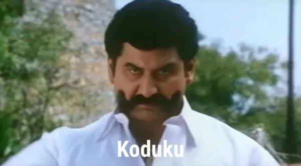 కొడుకు